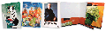  250 Presentation Folders Full Color 9 x 12