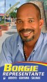 Borgie, Representante PNP • Ejemplo de campaña política en Puerto RIco
